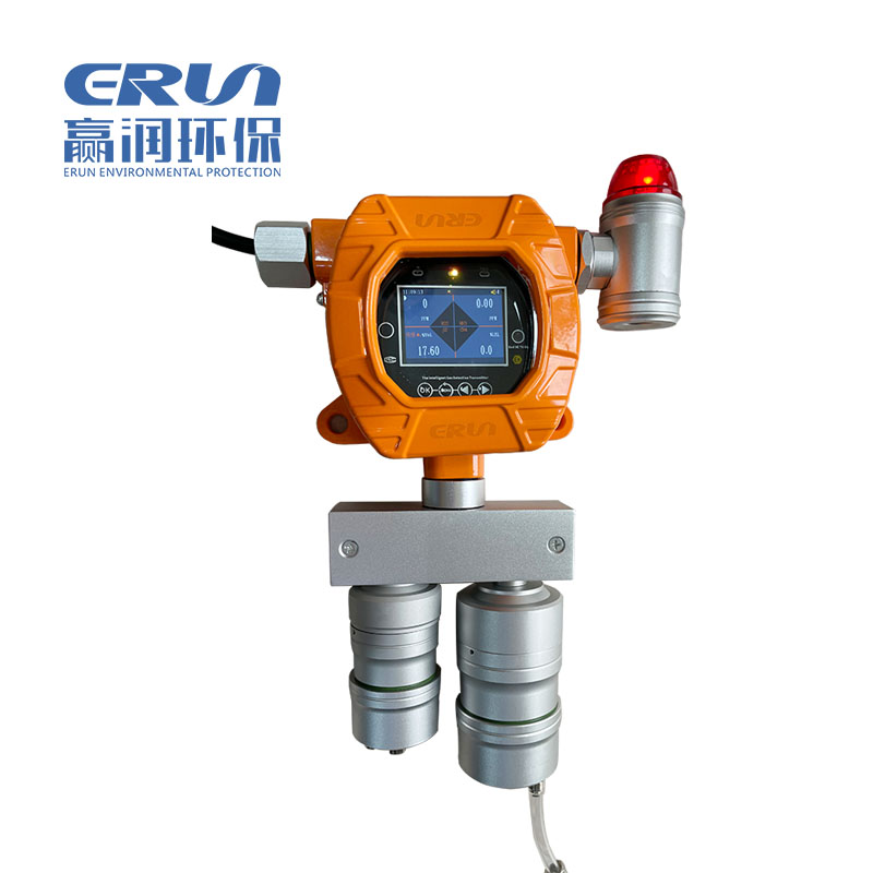 固定在線式二合一氣體檢測(cè)報(bào)警儀